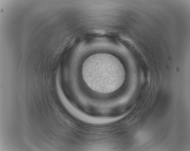 X0000065260750200602242114