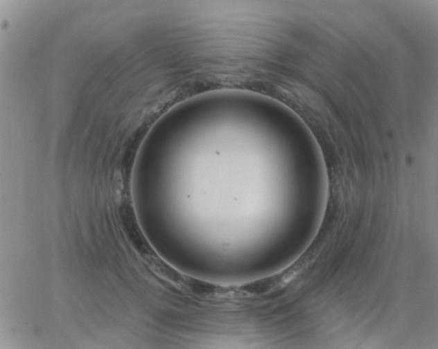 X0000065260752200602242114