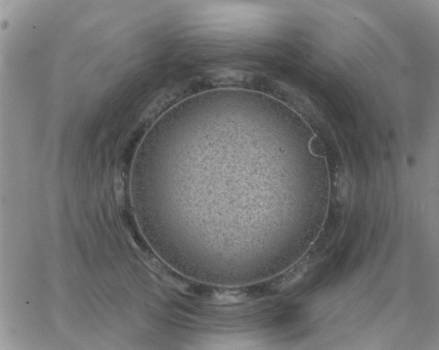 X0000065260753200602242114