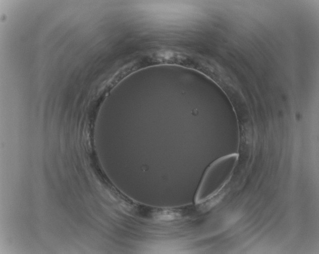 X0000065260754200602242114