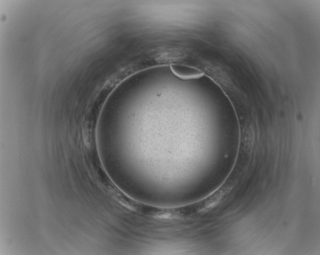 X0000065260755200602242114