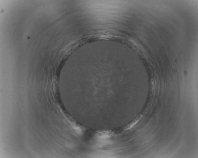 X0000065260757200602242114