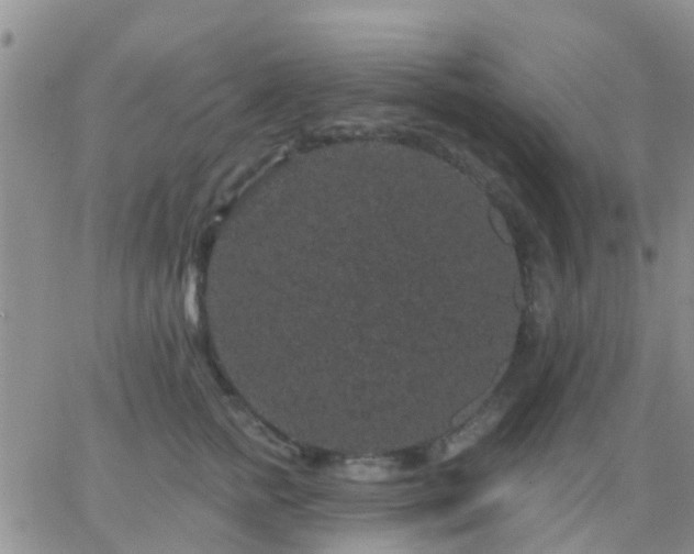 X0000065260758200602242114