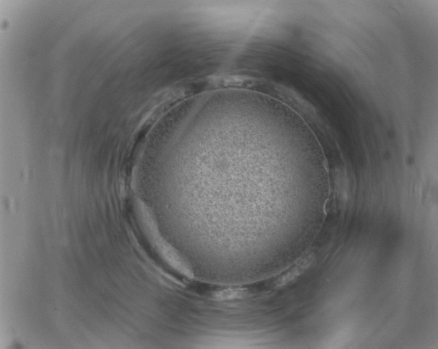 X0000065260761200602242115