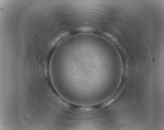 X0000065260762200602242115