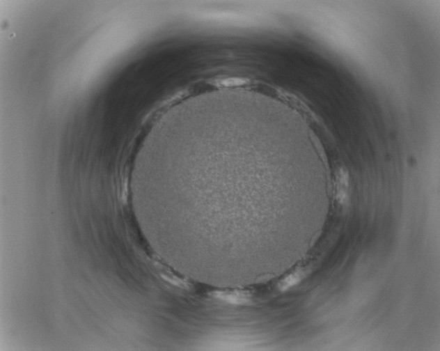 X0000065260763200602242115