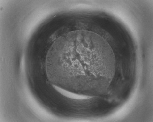 X0000065260765200602242115