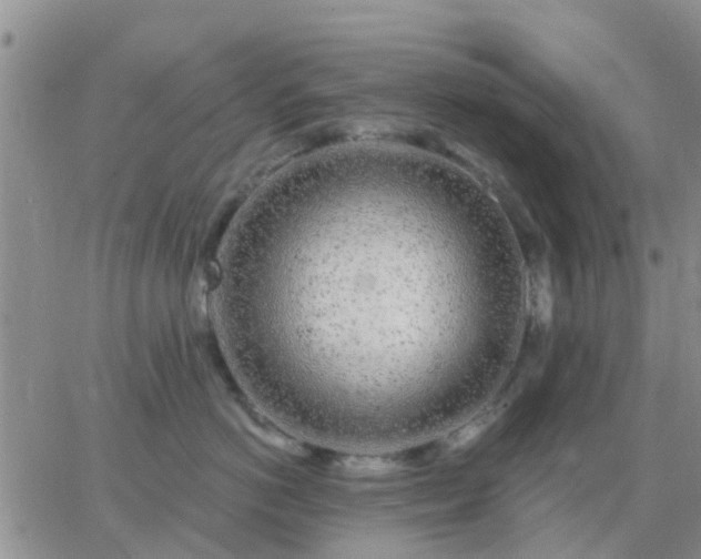 X0000065260766200602242115