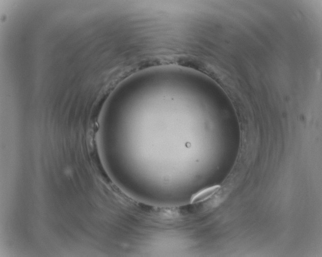 X0000065260768200602242115