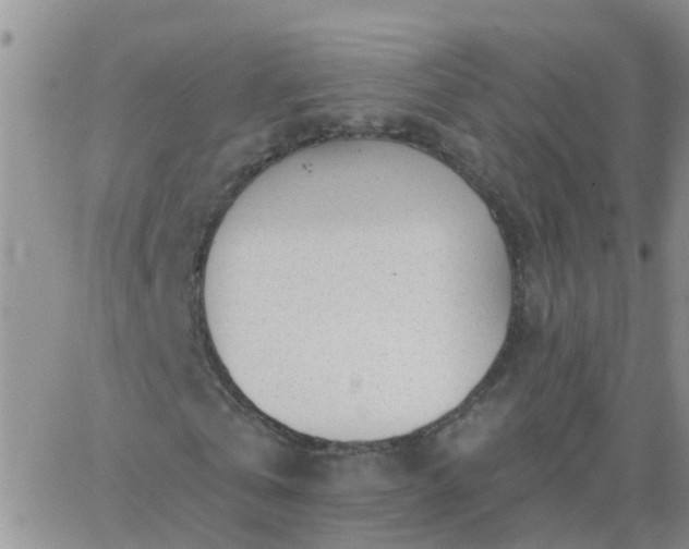 X0000065260769200602242114