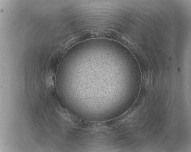 X0000065260770200602242114