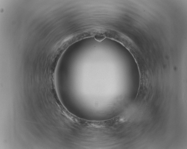 X0000065260773200602242114