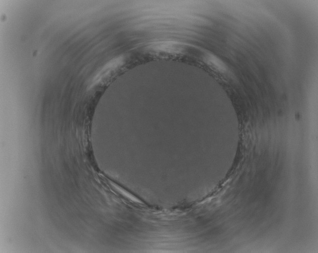 X0000065260774200602242114