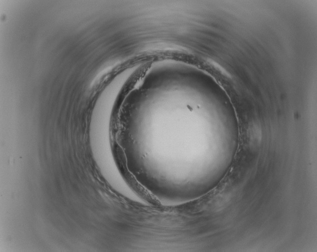 X0000065260775200602242114