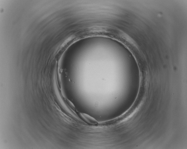 X0000065260777200602242114