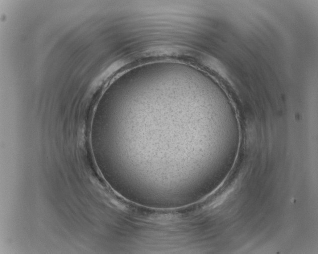 X0000065260778200602242114