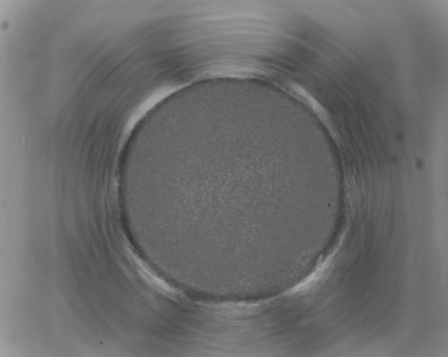 X0000065260779200602242114