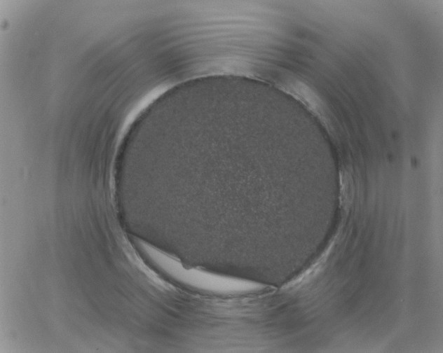 X0000065260780200602242114