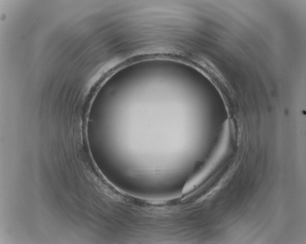 X0000065260781200602242114