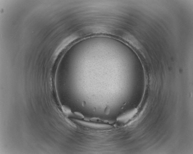 X0000065260782200602242114