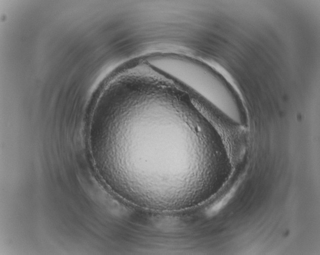 X0000065260783200602242114