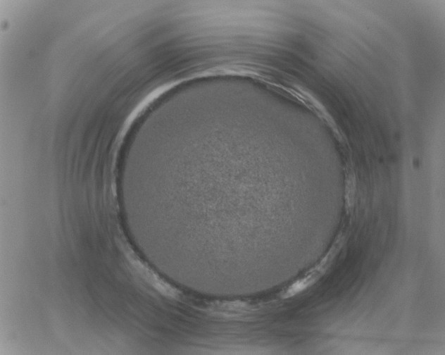 X0000065260784200602242114