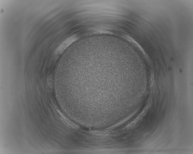 X0000065260785200602242114