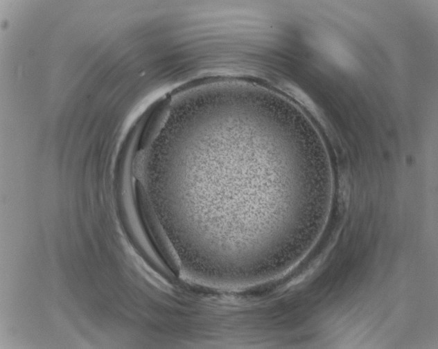 X0000065260787200602242114