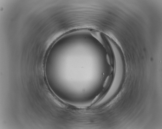 X0000065260789200602242114