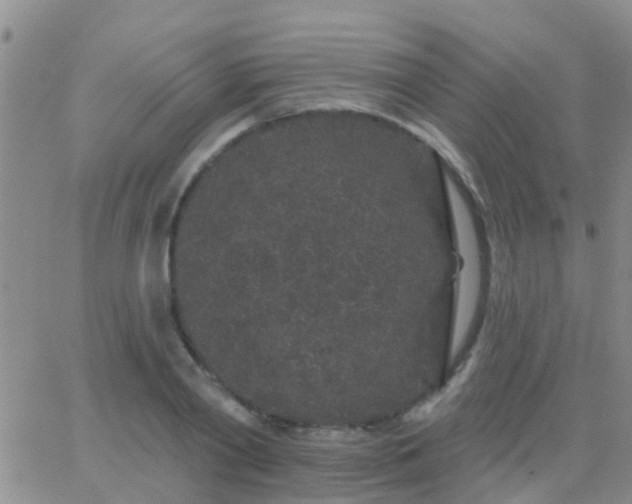 X0000065260790200602242113