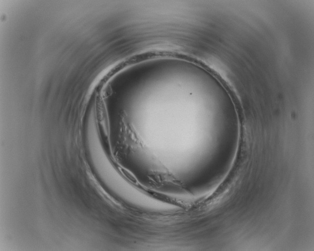 X0000065260791200602242113