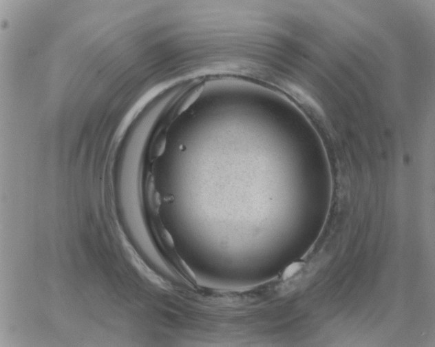 X0000065260792200602242113