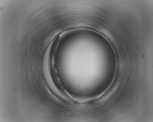 X0000065260793200602242113