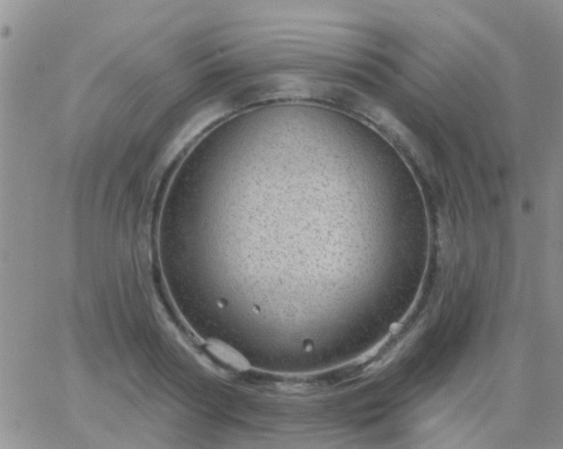 X0000065260794200602242113