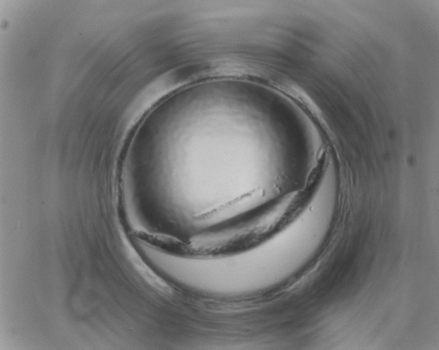 X0000065260795200602242113