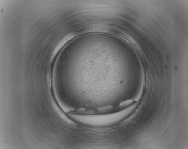 X0000065260796200602242113