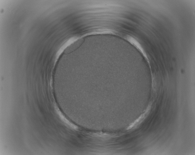 X0000065260797200602242113