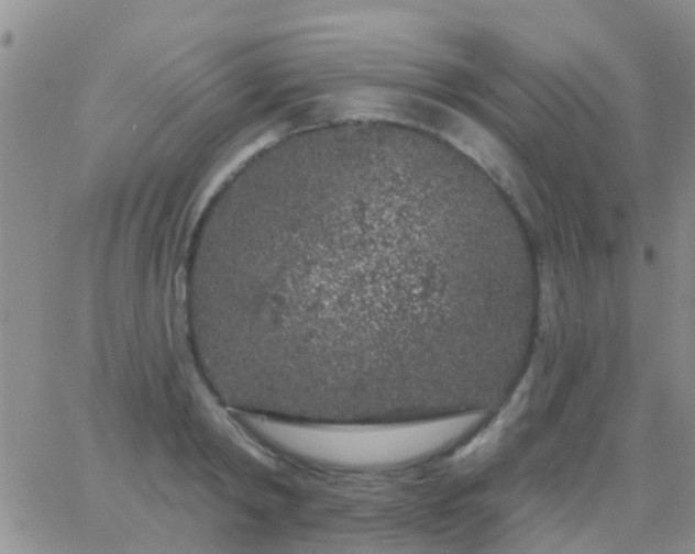 X0000065260798200602242113