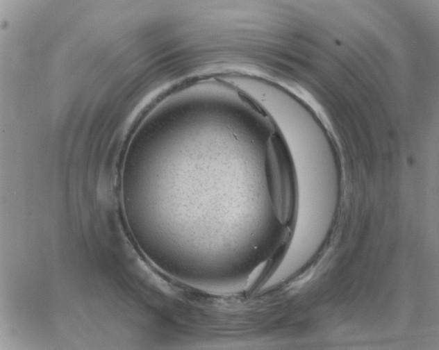 X0000065260799200602242113