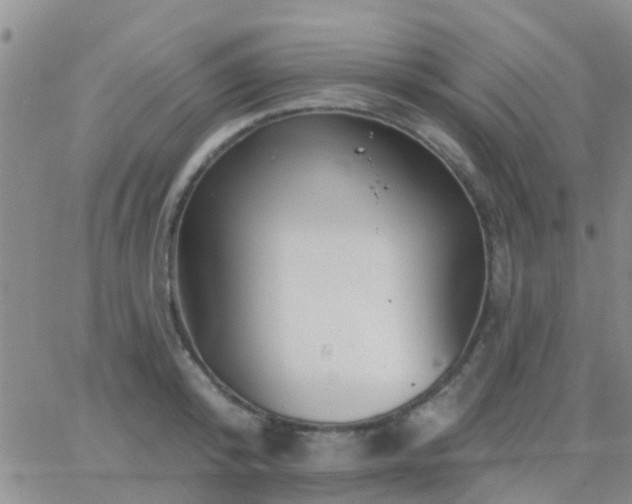 X0000065260800200602242113