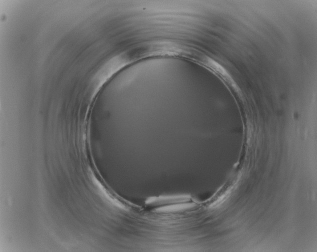 X0000065260802200602242113