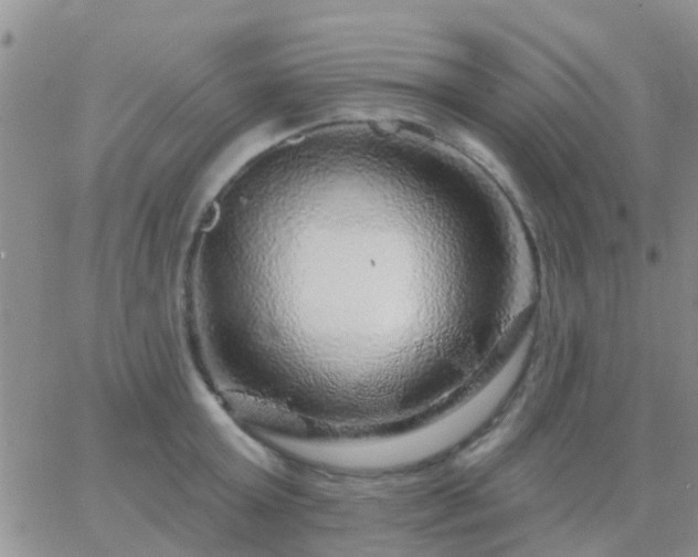 X0000065260803200602242113