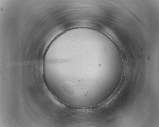 X0000065260804200602242113