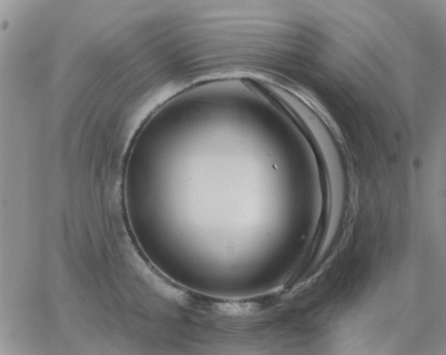 X0000065260805200602242113