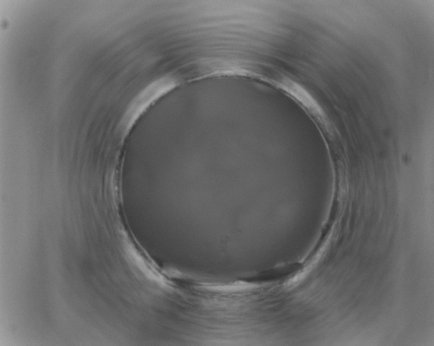 X0000065260806200602242113