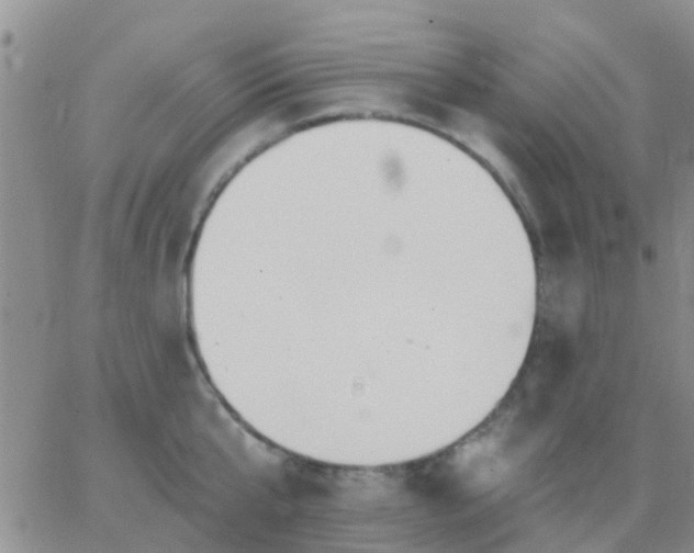 X0000065260807200602242113