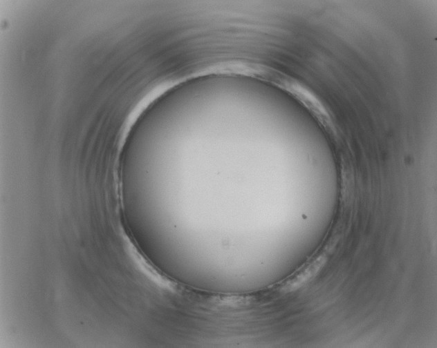 X0000065260808200602242113