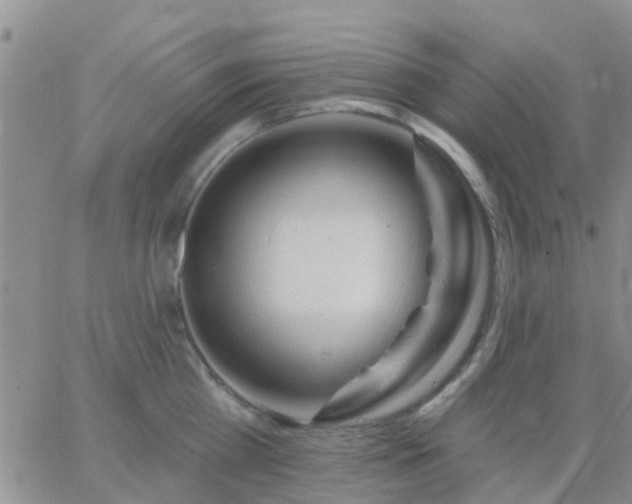 X0000065260809200602242113