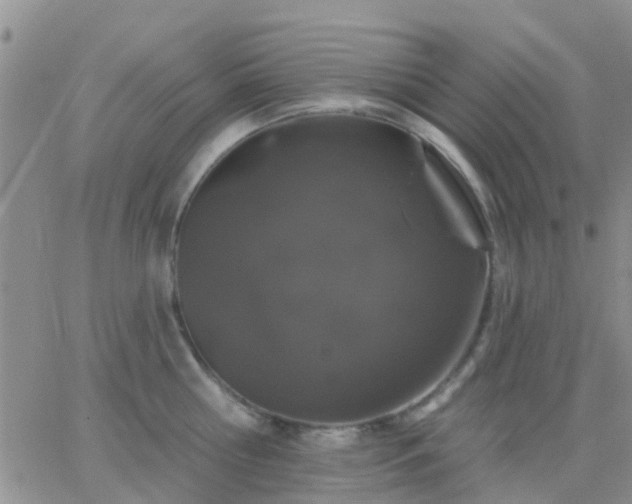 X0000065260810200602242113