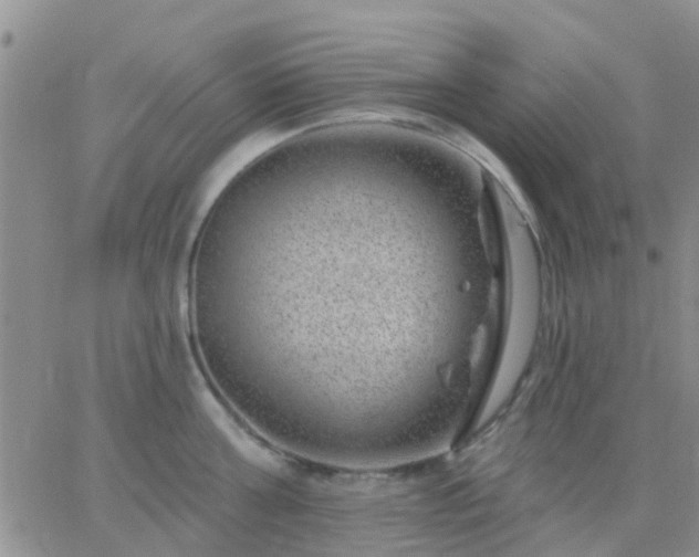 X0000065260811200602242113